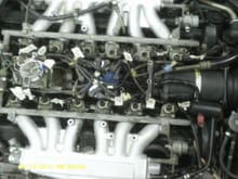 Overall look at the injector hoses