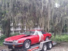 Parked under an old Oak Tree at skippers fish camp while we had the best peach cobbler ever