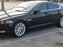 2012 xf the  black panther 