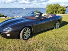 Cold December day in S.W. Fla. (72degrees).