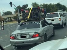 This jag wner decided to take his dog for a walk.