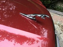 Gotta have the shiny Jaguar emblem.