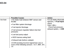 P0171/P0174 Issues