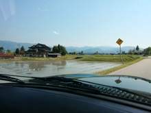 She drives along beautifully. It's coming up to rice transplanting time. (Snapped with tablet.)