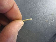 End flattened off to fiw into the solder better