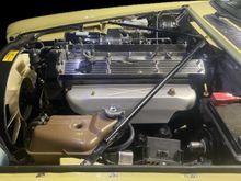 Hood and Removable Hood Liner Replacement 2024-10-30 05:07:06