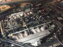 Engine Bay