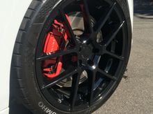 Avant Guarde M510 blackpo co