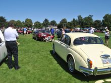 My 1966 Mk 2 among the cats at JOTI.