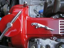 3D Leaper on freshly painted cam cover