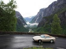 IMG 1139   Copy