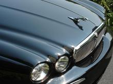 The Leaper - its a sculpture on your bonnett!