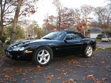 Black Cat, 2011 Padre Island and home