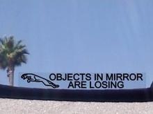 driver's door mirror