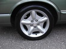 Jaguar photo file 028