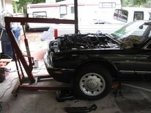 Its finally time, pulling the engine to make room for the reman.