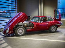 Ruby on display at local Jaguar/Land Rover dealership.  Jaguar Owners Association of North Texas. Jan '20