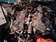 Before valve cover cleanup and paint. While searching why my jag smells like oil inside