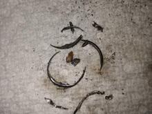 Great some of the threads coming out already!