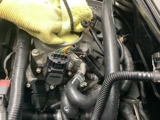 looks adjustable to me?