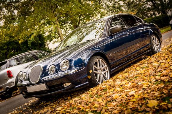 Sitting pretty in the Autumn Colours