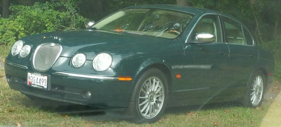 Jaguar in the wild!