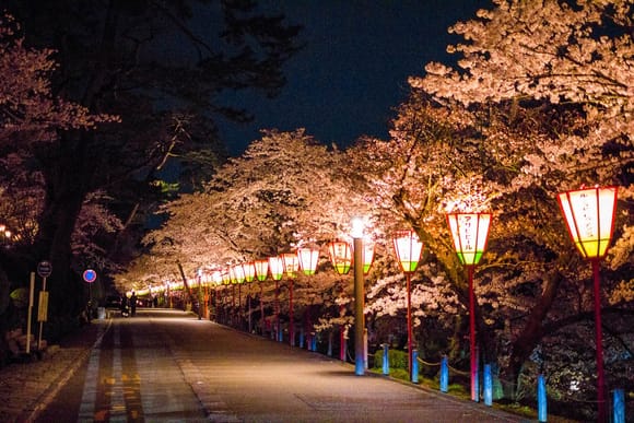 These lanterns are put up every year at cherry blossom time.