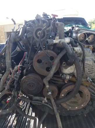 After stripping most of down in bed if truck, i have more info. Its not a vette motor, its an f body, as all accessories are on right side, also its a 94, as the optispark has the small drive..  confusion came from  ( i believe) fuel.rail, which is a vette rail.
 Im still happy... also looks like the stand alone harness was a  it of a hack job....  will all be sorted before i even open the hood of the jag.....