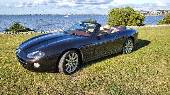 Cold December day in S.W. Fla. (72degrees).