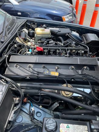 Almost too clean to believe. Dealer say sit was not detailed.