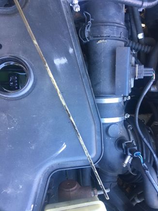 Sludge. This after new oil filter and oil change. The same as I had before oil change.