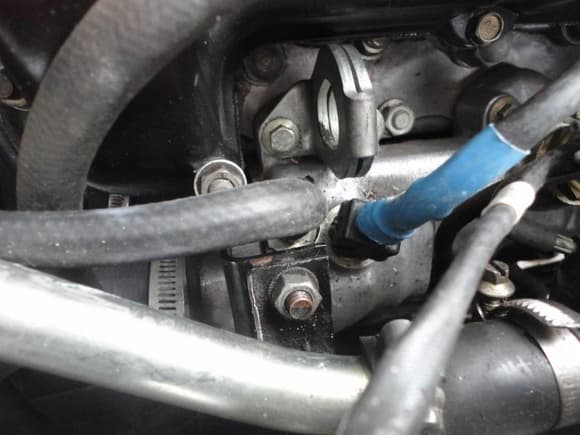 Connector with blue heat shrink plugged onto the Coolant Temp Sensor