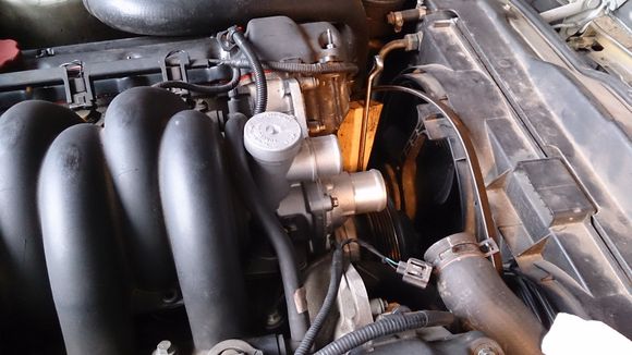 thermostat housing