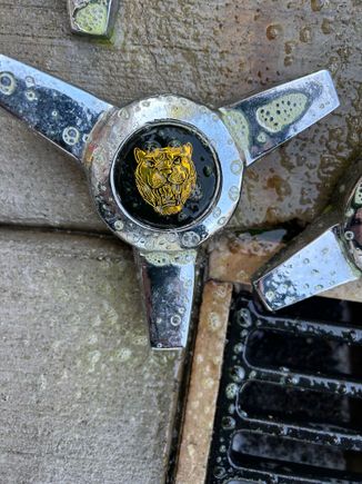 This is the spinner I am looking for, center bolt on cap.
Thanks