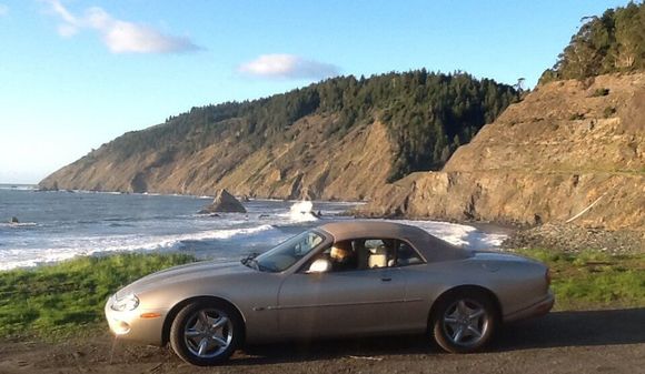 Mendocino Coast Christmas 2014