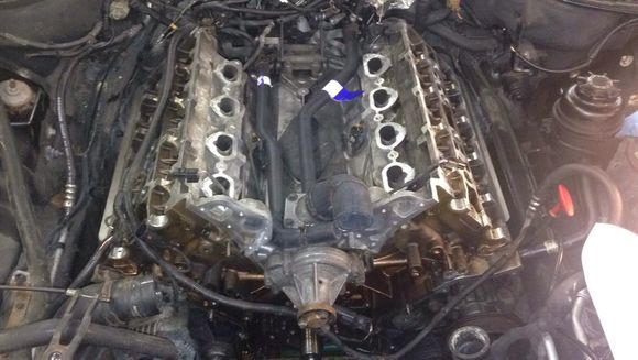 Heads are back on. New hoses are in. Time for a good timing