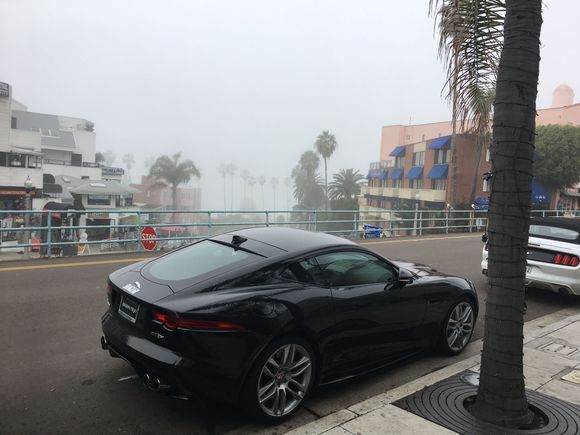 Black Shaguar in the fog in La Jolla, CA