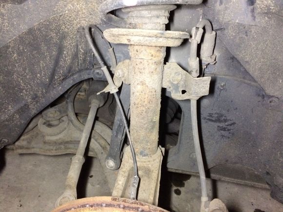 Should I just treat the rust and paint or order new struts?