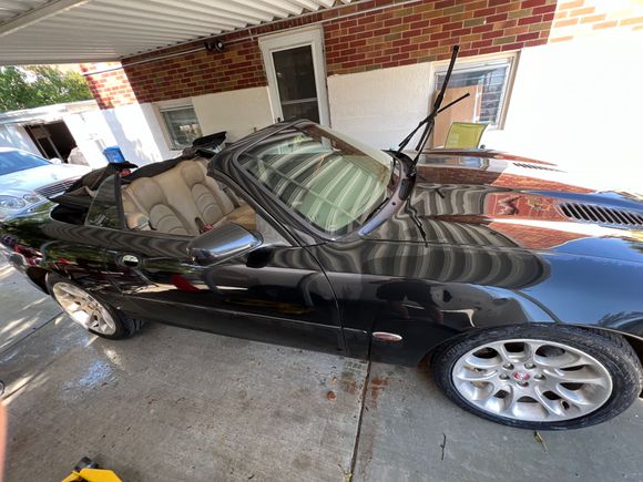 she cleaned up very nicely, 