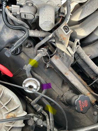 2004 XJ8 4.2L NA Purge canister to Throttle Body and Fuel Rail hoses