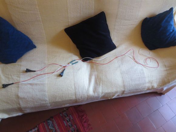 The two wires that will come from the car loom connector are the long ones to the right