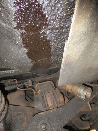 Differential oil leaking from seals?