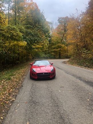 Snake Road offers brilliant leave colors in Fall