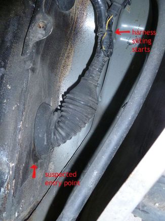 A better view of the "wet spot" and a silt deposit that runs down the harness