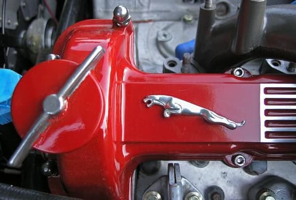 3D Leaper on freshly painted cam cover