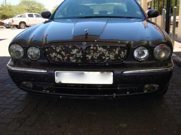 XJR BW - After crossing Botswana from Namibia heading to South Africa, Joburg. Total driving distance covered from Joburg (South Africa) to Swakopmund via Botswana and back = 3125 miles