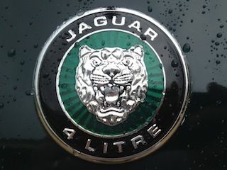 Hood Januar 4 Litre Logo