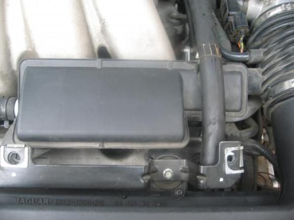 PCV Hose