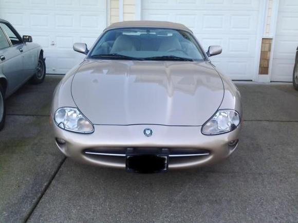 Oh...Da beauty of da Kitty....