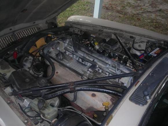 Needs a Chevy 350 carb. engine